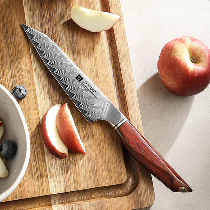 XINZUO x MAURO ULIASSI Universalmesser 140 mm - 73 Lagen Damaststahl